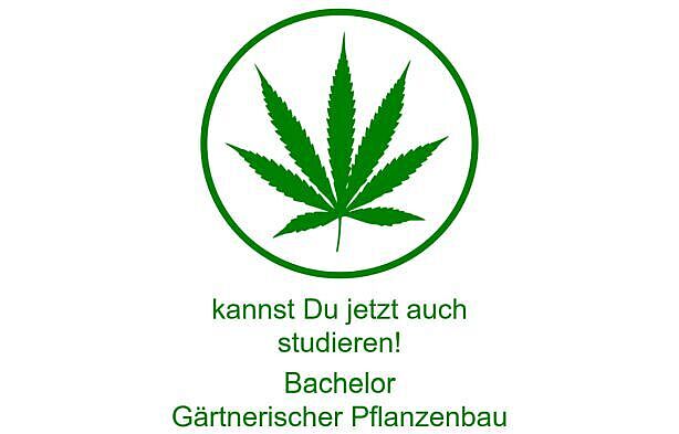 Cannabis studieren in Erfurt